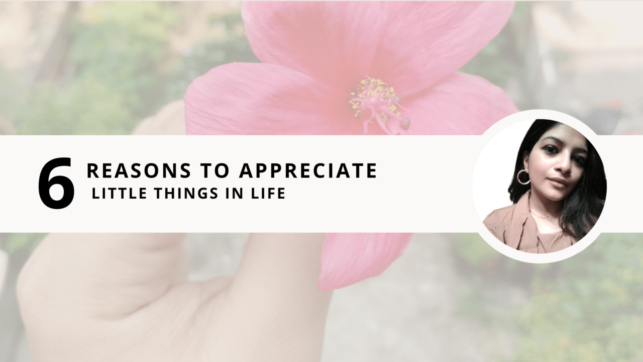 6 Reasons to appreciate little things in life