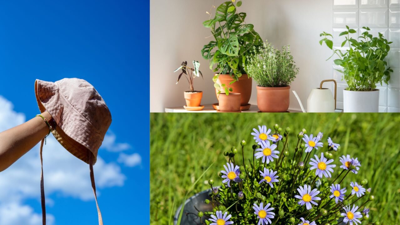 101 Amazing Summer Bucket List Ideas You Must Try in 2025 