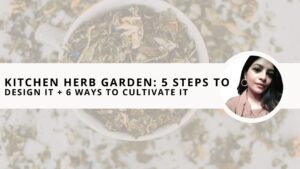 Read more about the article Kitchen Herb Garden: 5 Simple Step to Design + 6 Ways to Cultivate it