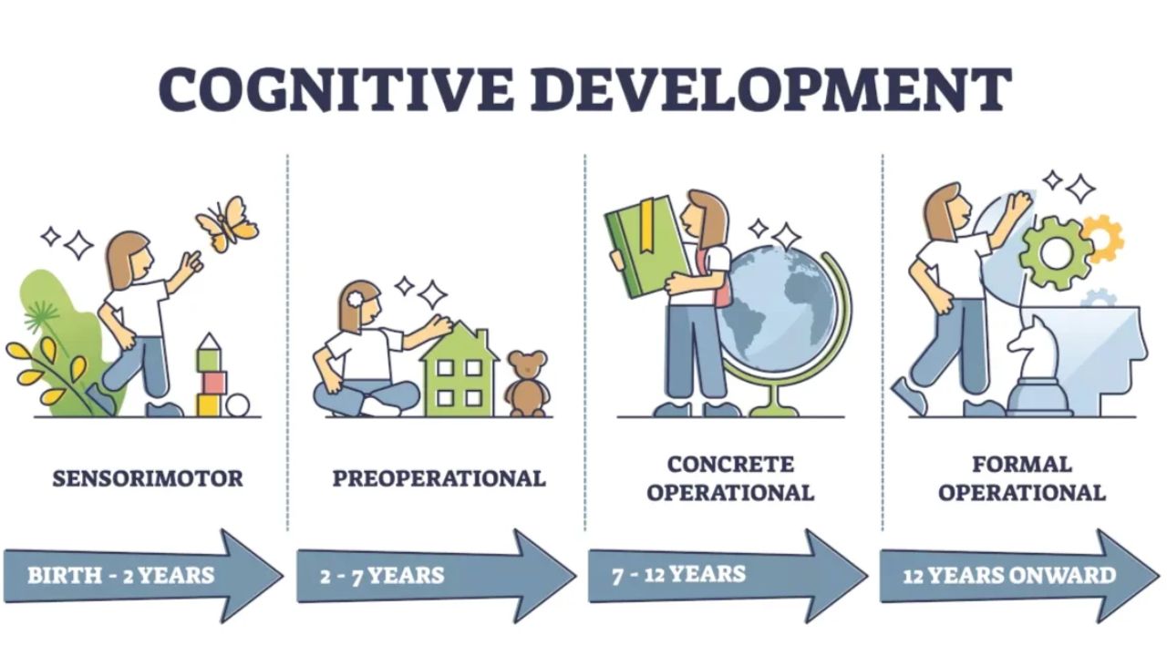 cognitive development 