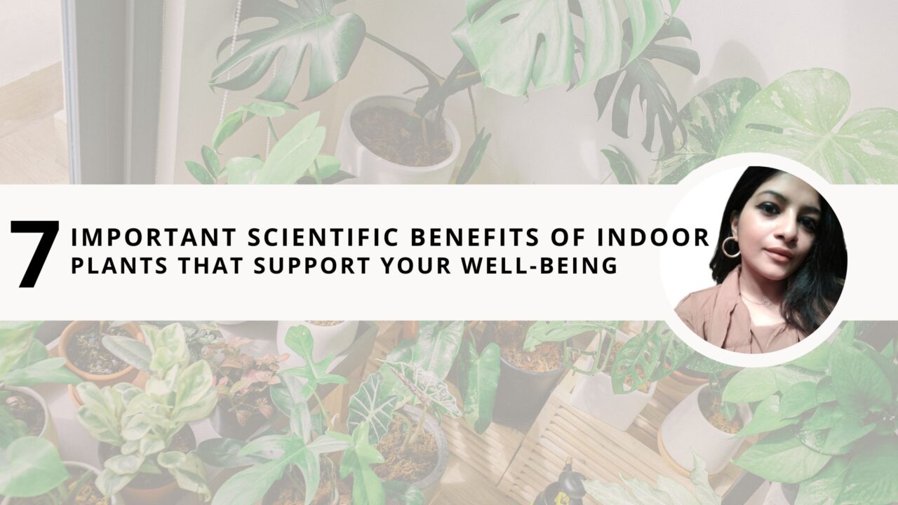 7 Important Scientific Benefits of Indoor Plants that Support Your Well-Being 