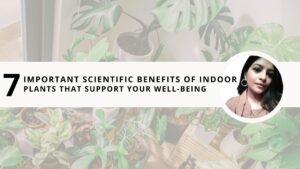 Read more about the article 7 Important Scientific Benefits of Indoor Plants that Support Your Well-Being 